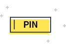 발급된 PIN번호 입력